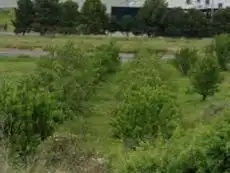 Terreny industrial en venda en Agoncillo