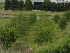 Foto 2 de Terreno industrial en venta en Terreno Rustica, 11, Agoncillo, La Rioja