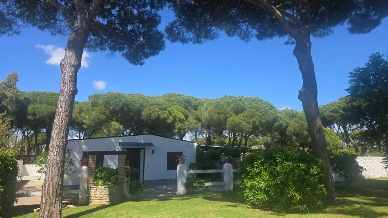 Jardín de Casa o chalet en venta en Chiclana de la Frontera con Terraza y Trastero