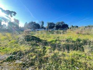 Photo 3 of Industrial land to rent in Avenida de Los Campones, Tremañes, Asturias