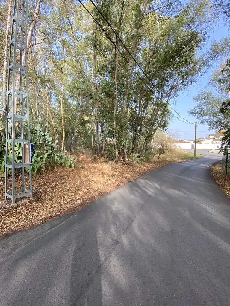 Grundstücke und Bauplätze zum Verkauf in Avenida Proserpina 60, imagen 3
