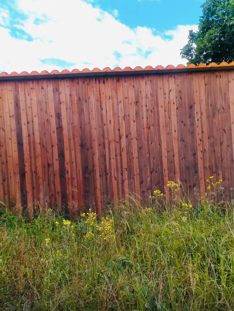 Jardí de Finca rústica en venda en Palma de Gandia
