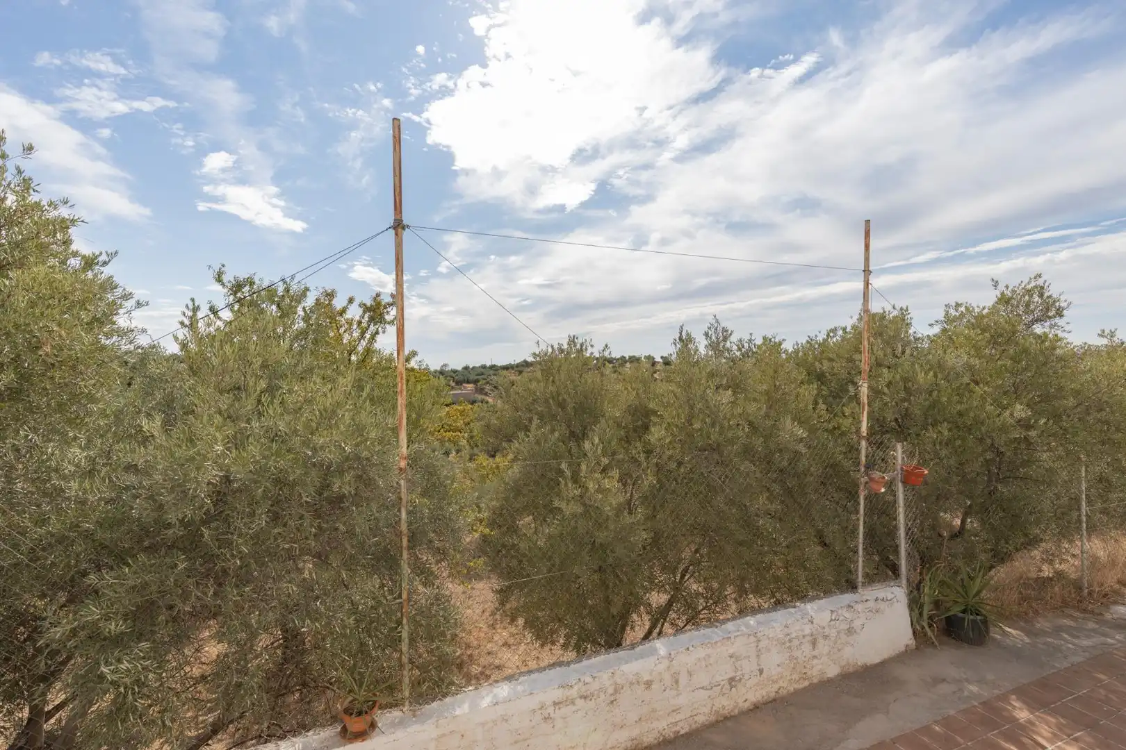 Vista exterior de Finca rústica en venta en Cogollos de la Vega con Jardín privado y Piscina