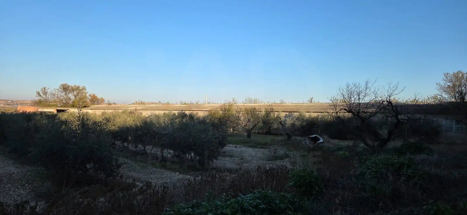 Residencial en venda en Vilagrassa