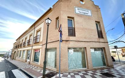 Vista exterior de Dúplex en venda en Fuente de Piedra amb Traster i Balcó