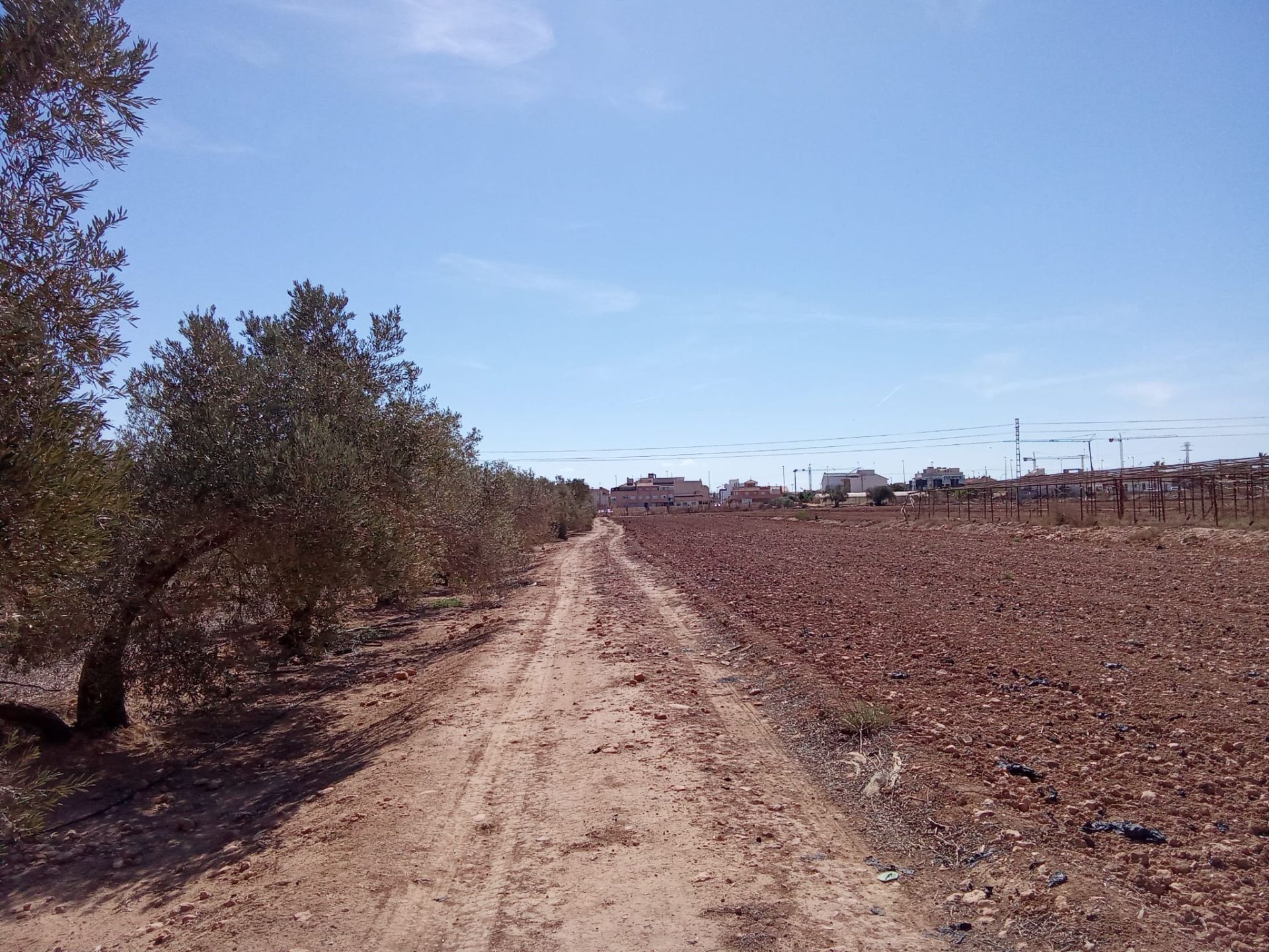 Residencial en venda en Pilar de la Horadada