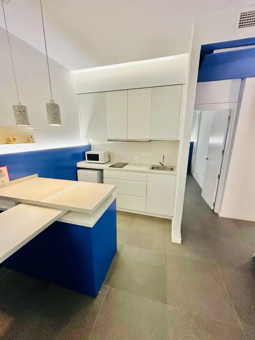 Cuina de Apartament de lloguer en Granada amb Aire condicionat, Calefacció i Moblat