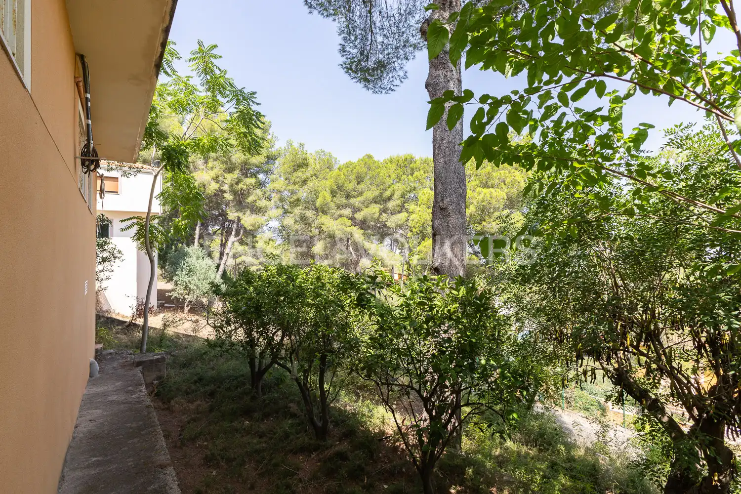 Jardín de Casa o chalet en venta en Alzira con Calefacción, Jardín privado y Parquet