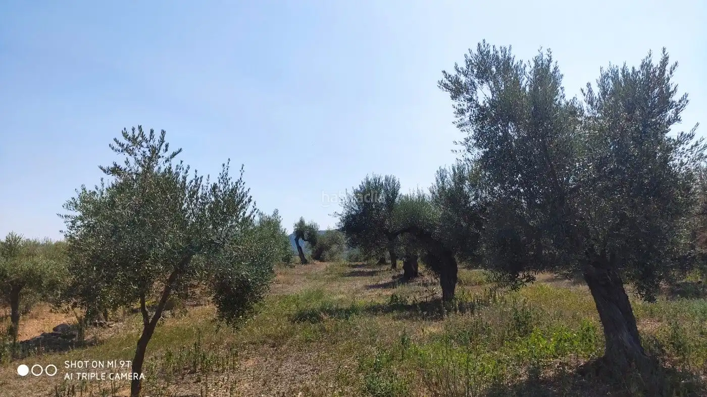 Rural land for sale in Carrer de la Muntanya 1, imagen 15