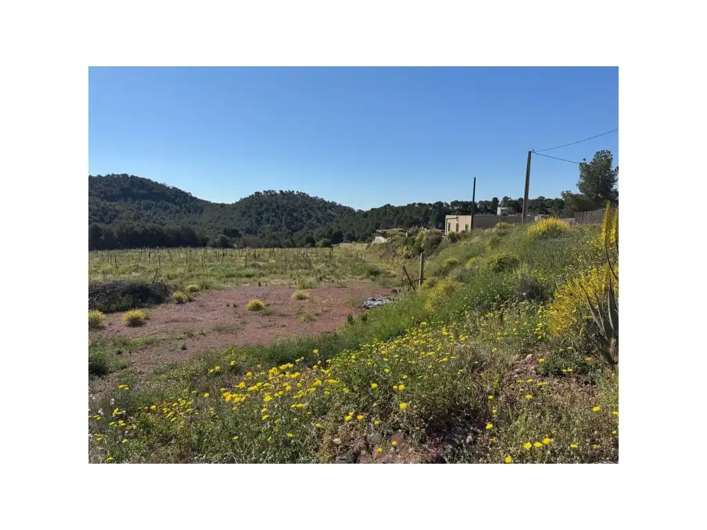 Casa o chalet en venta en Albalat dels Tarongers
