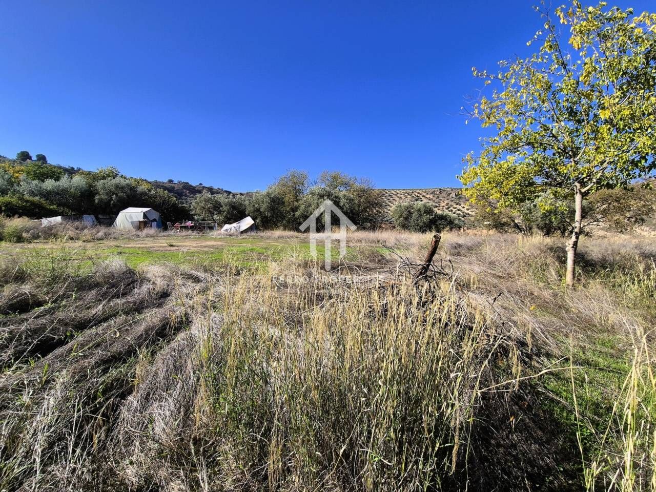 Land for sale in Loja