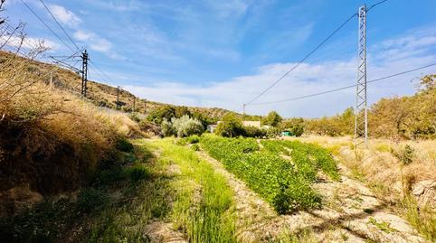 Foto 3 de Finca rústica en venda a Calle Arco Plines, Loja, Granada