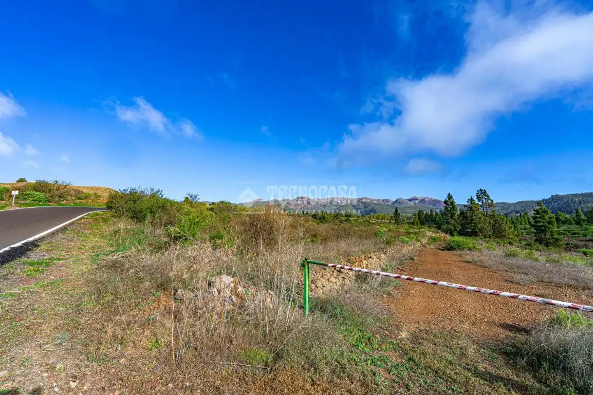 Terreno rústico en venta en Poligono 1, ERA VERDE, VILAFLOR DE CHASNA, imagen 17