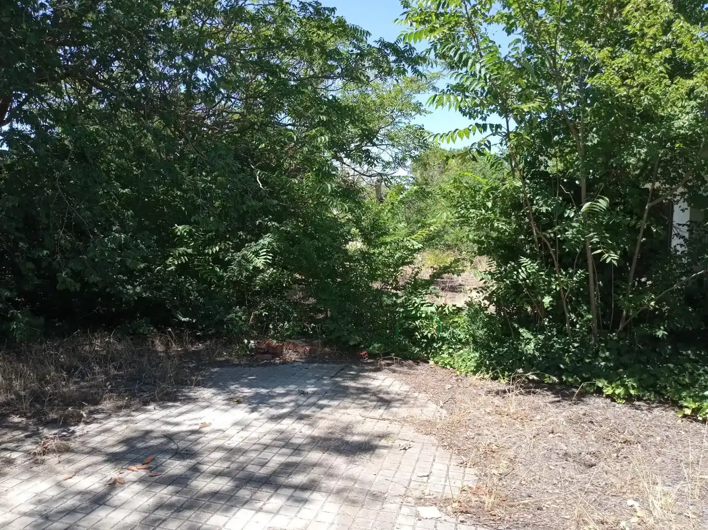 Planta baixa en venda en Villafranca de los Caballeros amb Traster