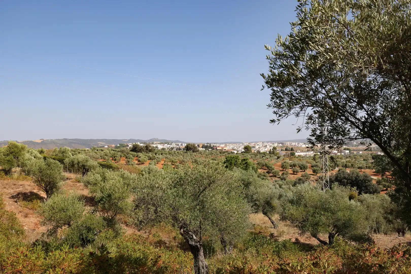 Country homes for sale in Ronda  with Private garden, Terrace and Swimming Pool
