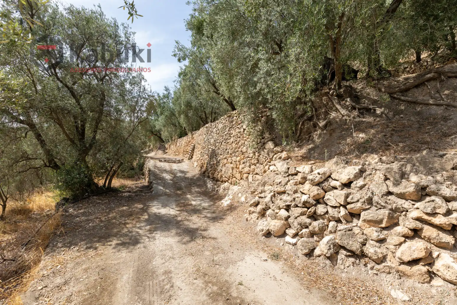 Terreno rustico in vendita a Pinar El - Pantano de Beznar, imagen 19