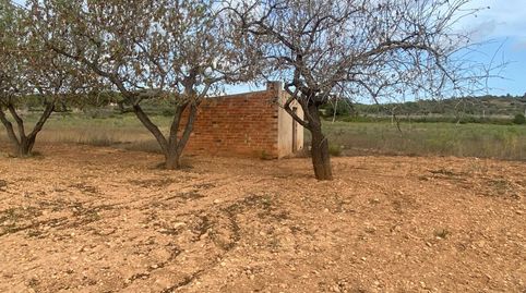 Finca Rúst. en venta en Masllorenç., imatge 3