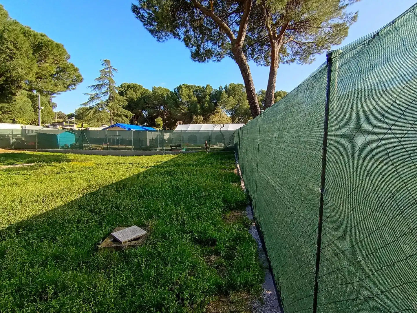 Jardí de Residencial en venda en Sevilla la Nueva