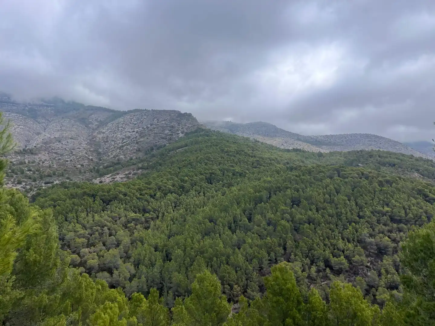 Terrenys i solars en venda a Callosa d'en Sarrià, imagen 8