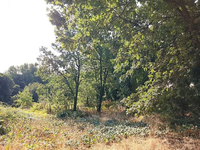 Terreno en Venta en Madrigal de la Vera
