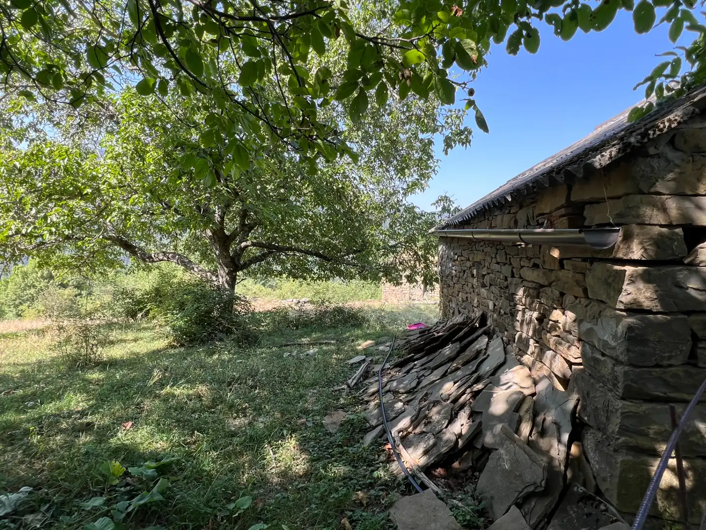Land for sale in Broto
