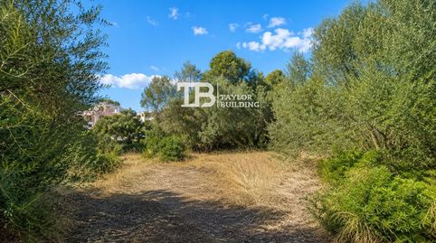 Foto 3 de Terreno en venta en De la Goleta, Magaluf, Calvià