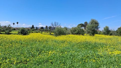 Foto 2 de Terreno en venta en Campanillas, Málaga Capital