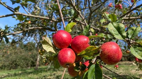 Foto 4 de Terreno en venta en Lugar Tuero, 31, Tazones - Argüero, Villaviciosa