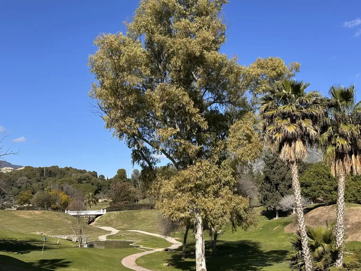 Adossat amb piscina en venda a Nueva Andalucía, imagen 9