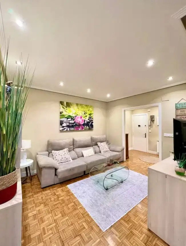 Sala d'estar de Apartament de lloguer en Donostia - San Sebastián  amb Aire condicionat, Calefacció i Parquet