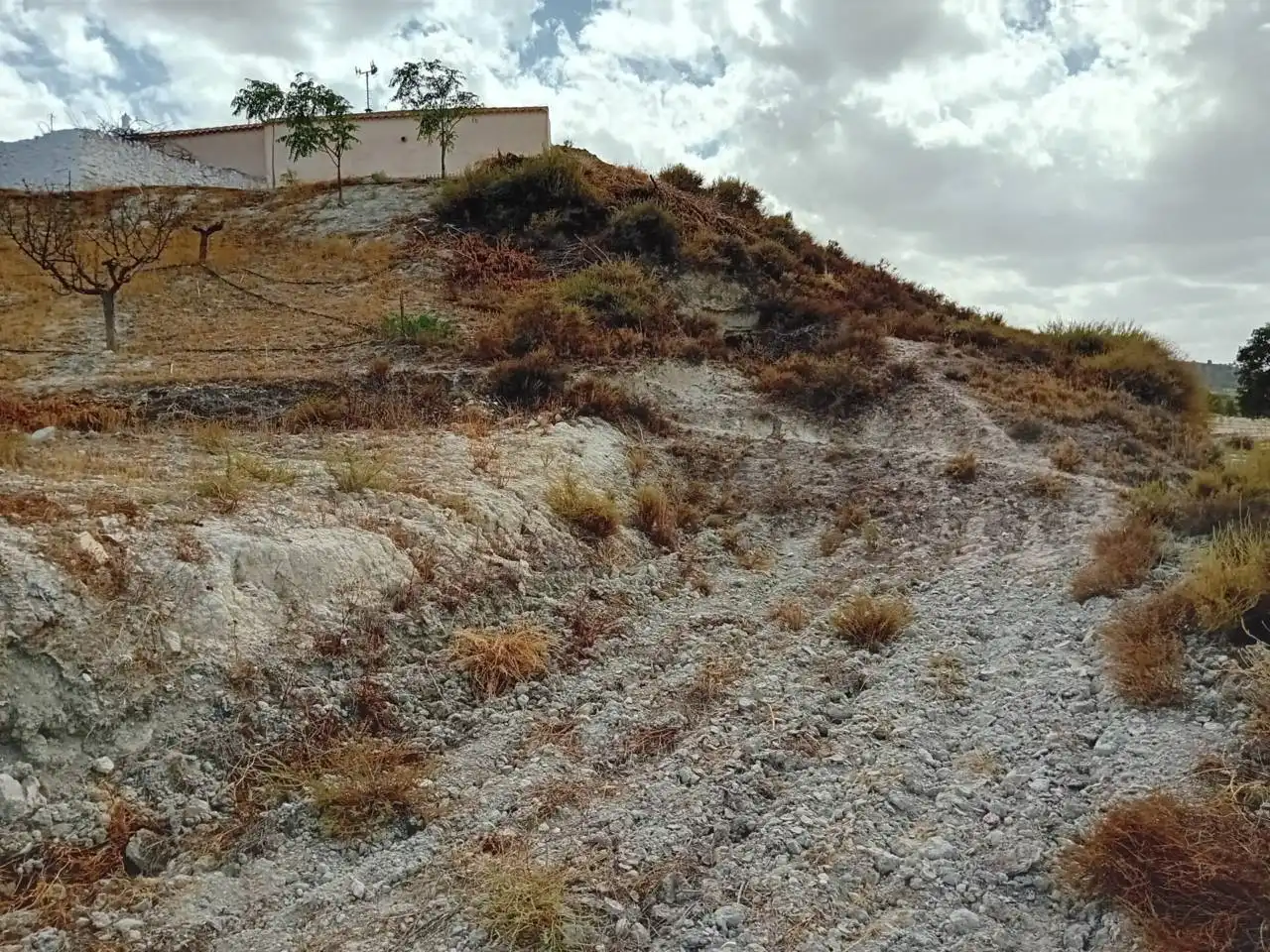 Industrial land for sale in Orce