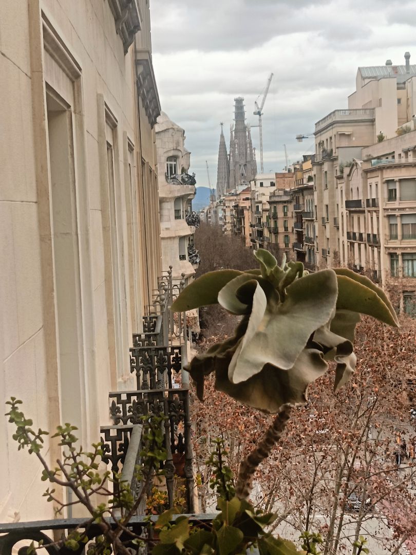 Wohnung zum Verkauf in Dreta de l'Eixample, Eixample