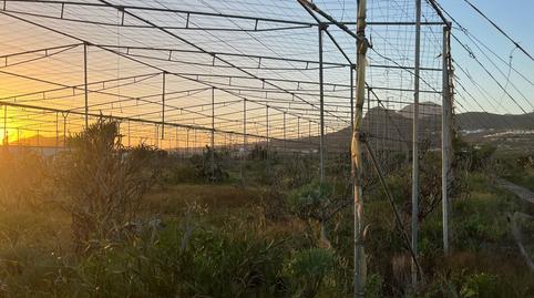 Photo 4 of Land for sale in Camino Cardon Alto, 6, Buzanada, Santa Cruz de Tenerife