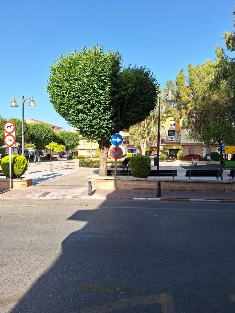 Business premises to rent in Plaza Plaza de España, imagen 24