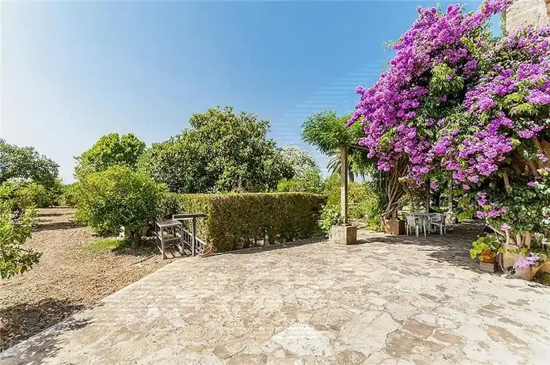 Casa rústica amb piscina en venda a Bunyola, imagen 7