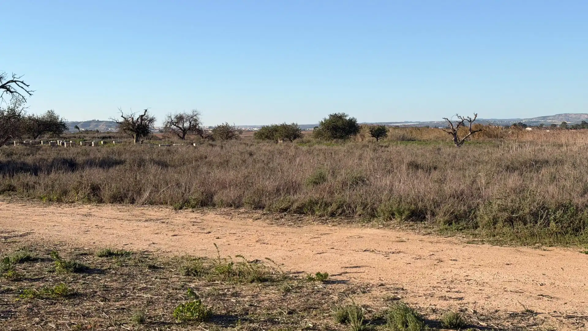 Terreno residencial en venta en La Marina, imagen 4