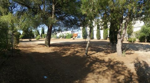 chalet a un paso de Torreperogil y Úbeda, parcela muy cuadrada y con muchas posibilidades.