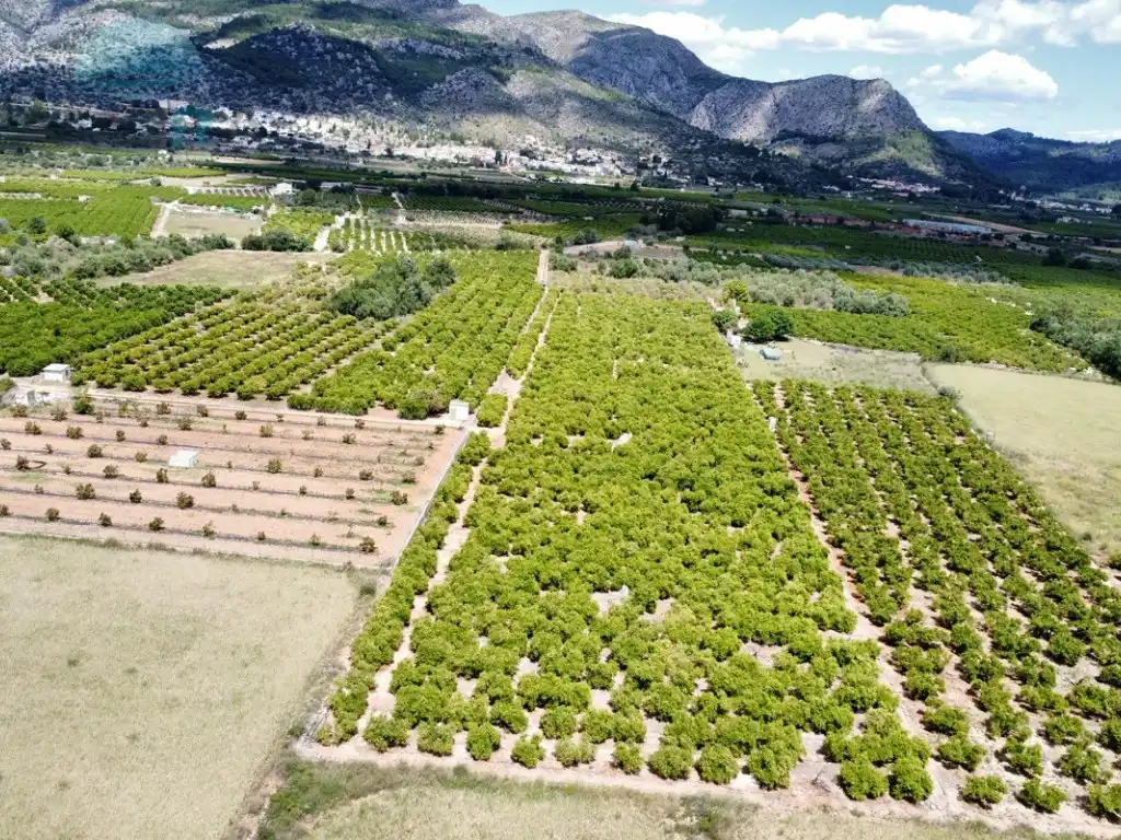 Rural land for sale in Partida Garroferal, imagen 8