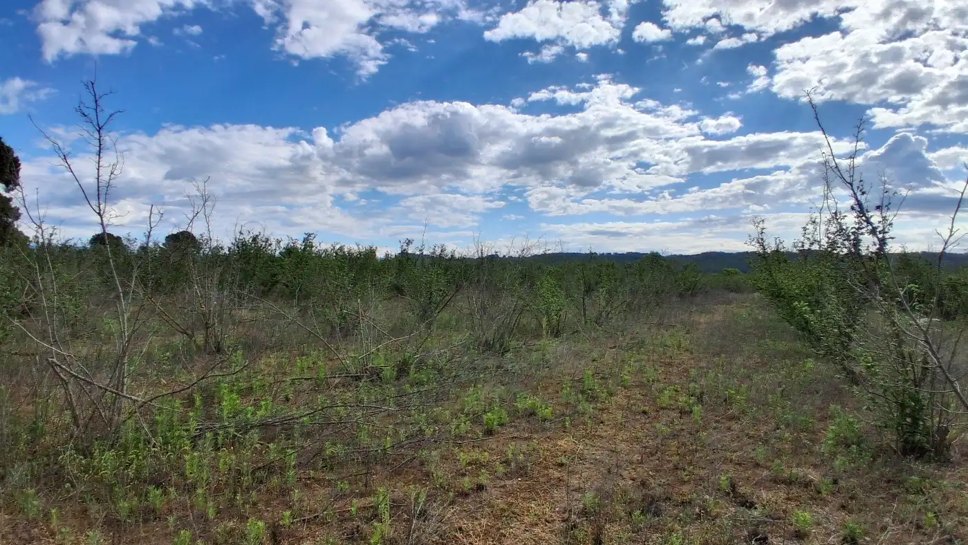 Terreno en venta en El Milà