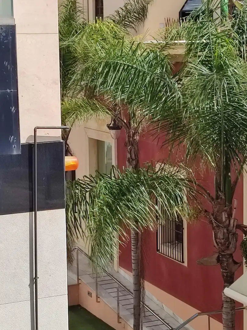 Appartement compact à vendre à Orihuela ciudad, imagen 20