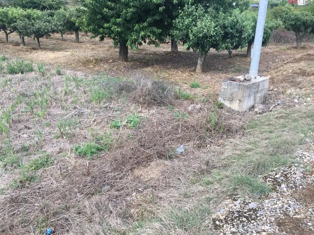 Terreni e lotti in vendita a Camponaraya, imagen 3