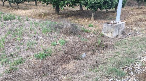 Oportunidad única!! Finca cerca de Camponaraya, imatge 3