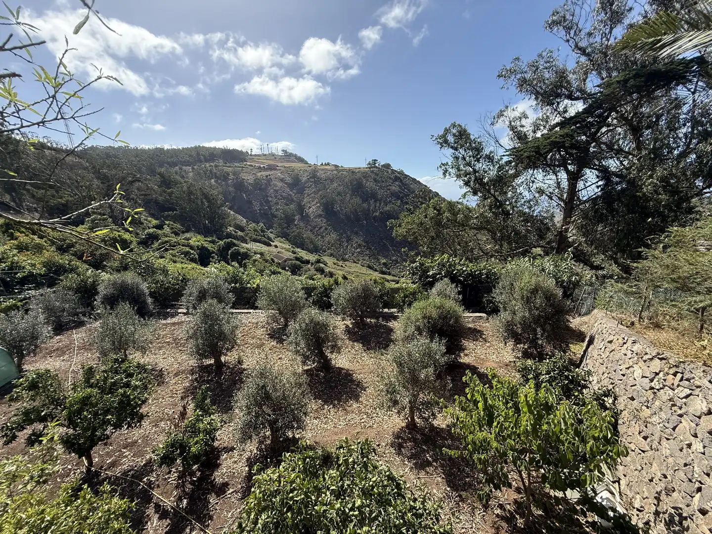 Rural land for sale in Tegueste