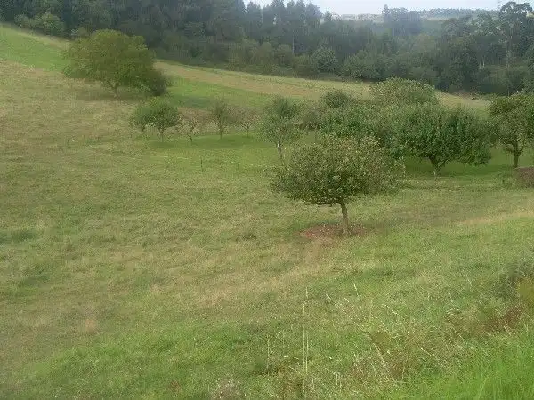 Wohnbaugrundstück zum Verkauf in Bocines - Nembro - Cardo, imagen 5