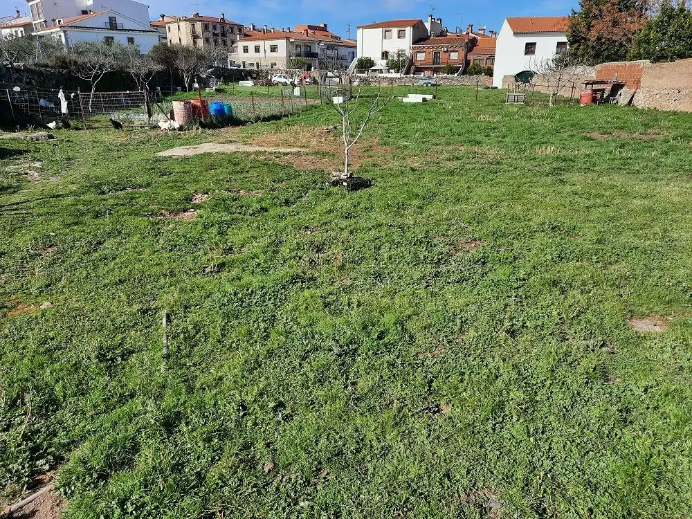 Residential for sale in Navas del Madroño