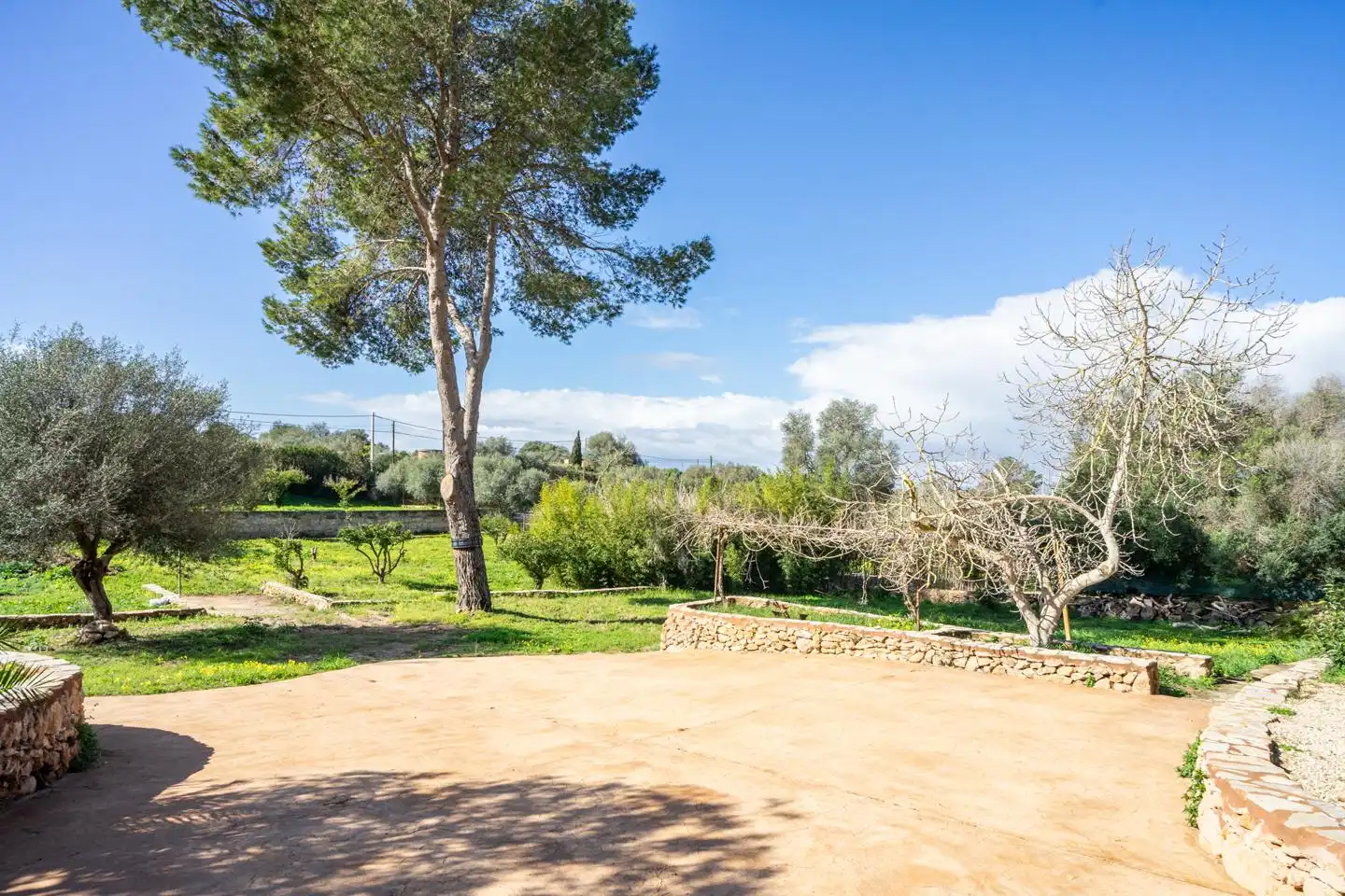 Country house with pool for sale in SEGREGACION RUSTICA, imagen 45
