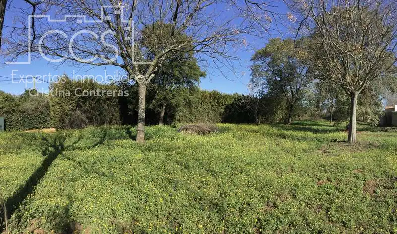 Chalet con piscina en venta en Sanlúcar la Mayor, imagen 27