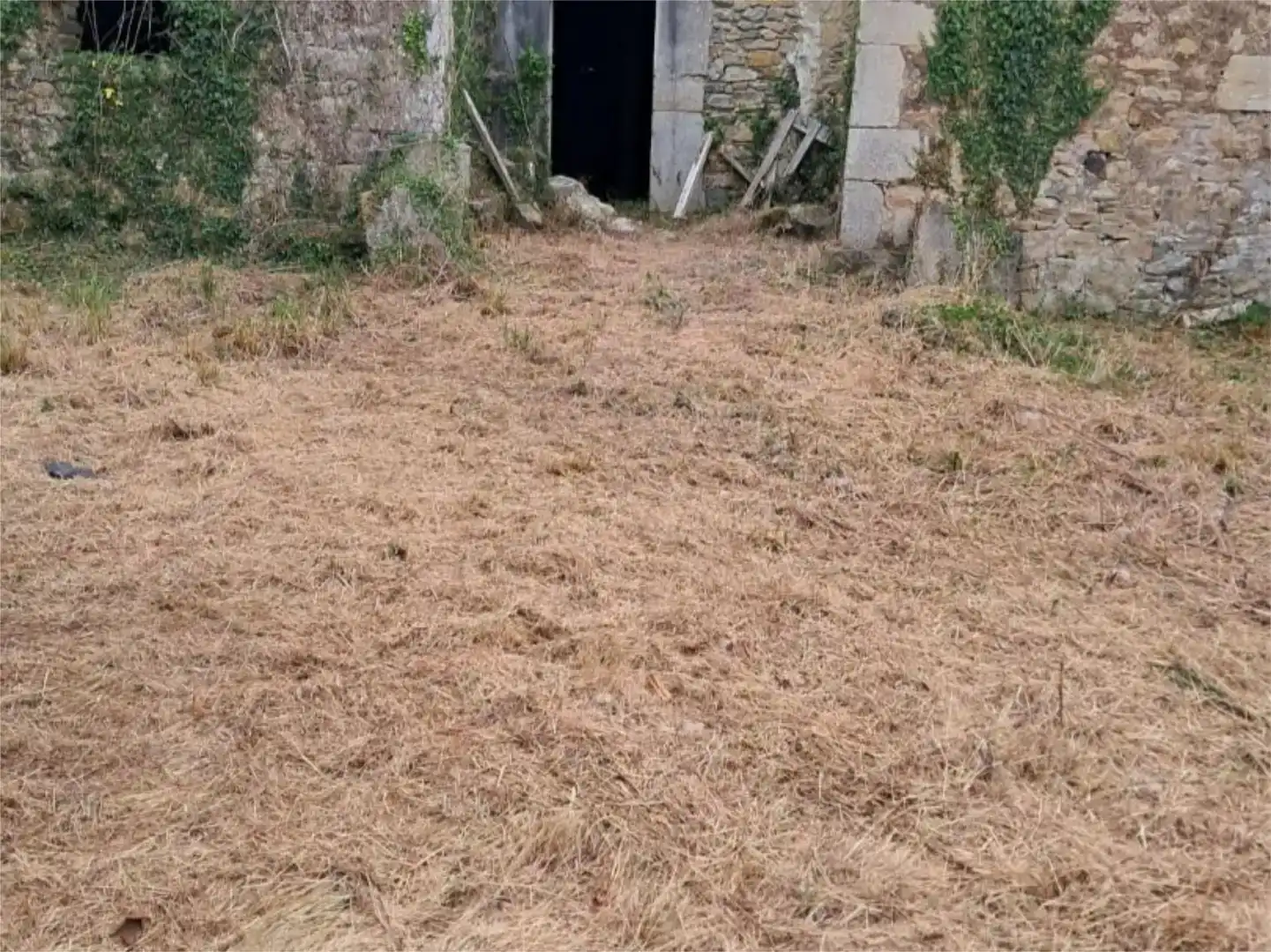 Planta baja en venta en Pravia
