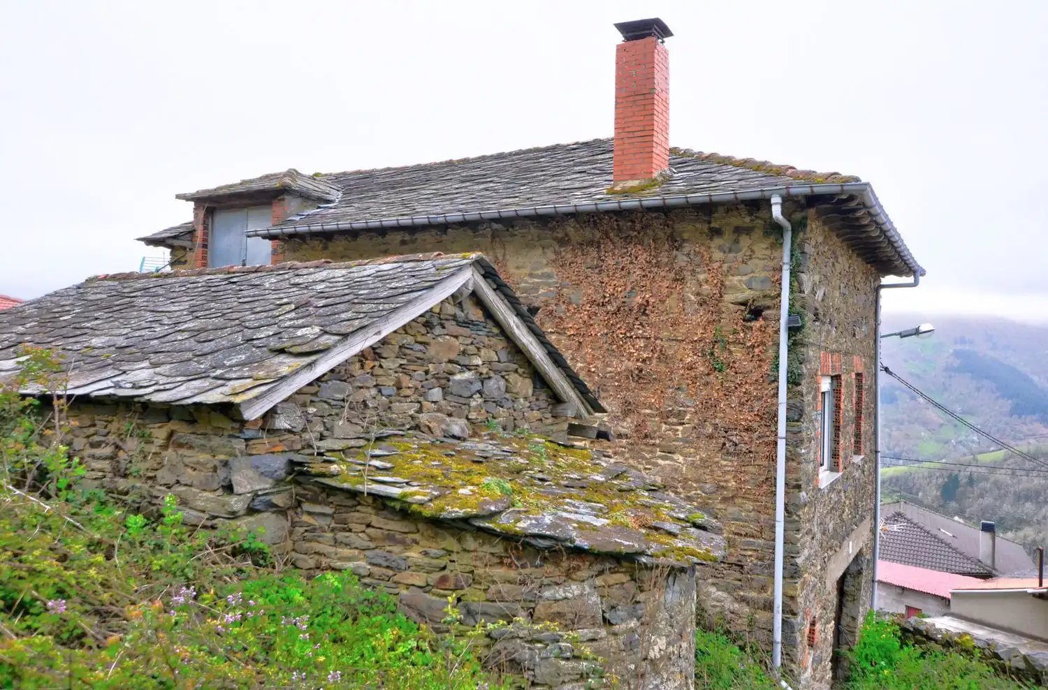 Exterior view of Houses for sale in Cangas del Narcea  with Heating, Storage room and Swimming Pool