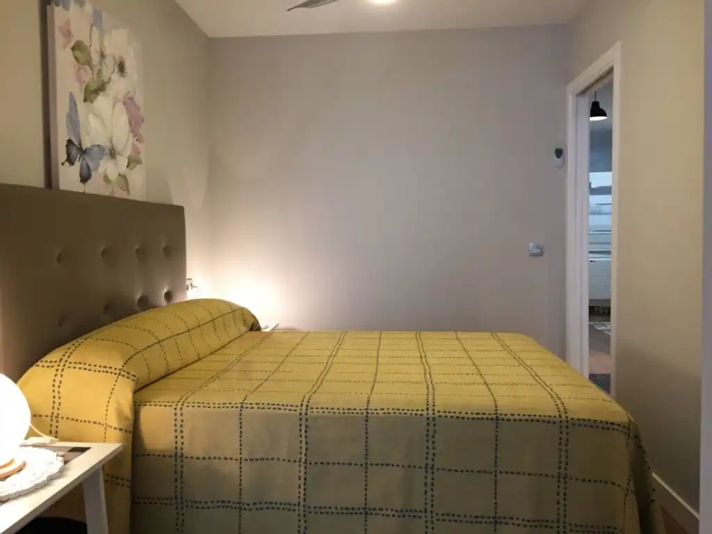 Apartments for rent in Calle Hernán Cortés, Casco Antiguo